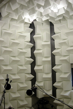 Acoustical Foam